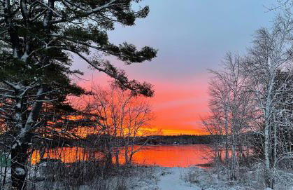 The Cottages at Harvey Lake - Foto 58