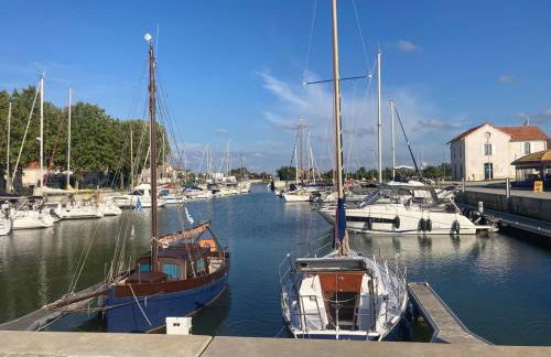 Le petit chai "classé de tourisme 3 étoiles" hyper centre La Tremblade - Foto 19