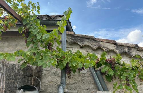 Gîte La Vésarnie - Foto 54