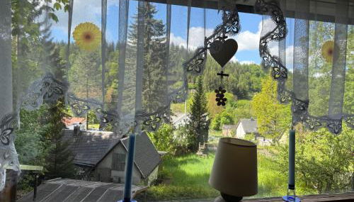 Waldhaus zur Kleinbahn - Foto 4