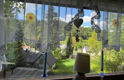 Waldhaus zur Kleinbahn - Foto 4