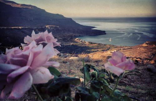 Nikos House - Foto 18