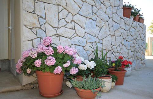 Apartments with parking space Punta kriza, Cres - 8082 - Foto 7