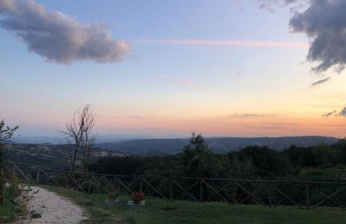 Uva - Poderone - Foto 9