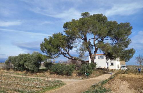 Domaine Saint Augustin - Foto 5