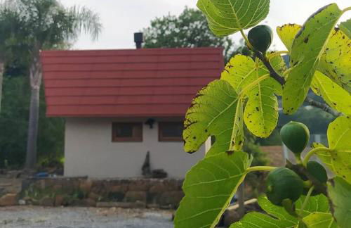 Cabana Linha Brasil - Foto 20