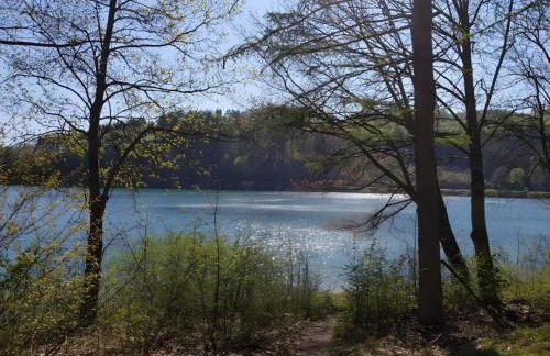 Großzügige Villa in Olsberg-Elpe - Foto 35