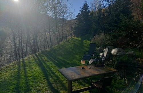 Els Pins d'Abella - Foto 38