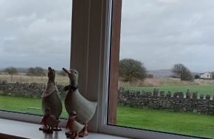 Sunnyside Farm - Foto 20