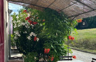 Les Gites De La Gassende - Foto 9