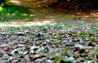 Casa Alice - Foto 25