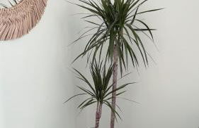 Seapink, Kingsand; luxury Cornish cottage with seaviews, bbq & paddleboards - Photo 16