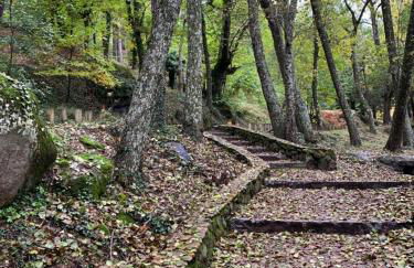 El Refugio de Felix - Photo 69