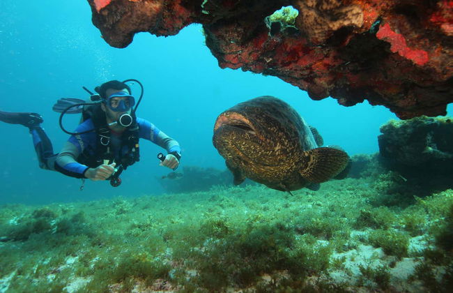 Immersione a Fernando de Noronha - Foto 4