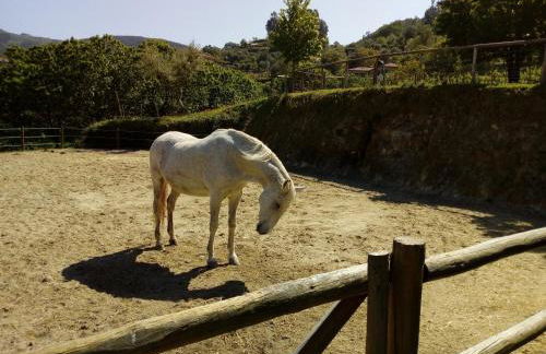 Quinta Souto Chão - Photo 14