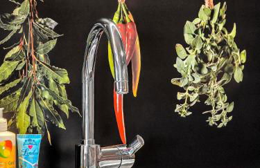 Apartment Joelle mit Sauna, Schwimmteich und Gym - Photo 4