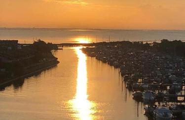 Signora Ruth - Aprilia Residence - Photo 6