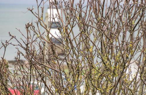 2 Old Coastguard House - Photo 40