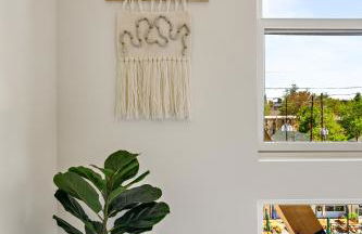 Canvas & Comfort | Espadin LoHi - Foto 54