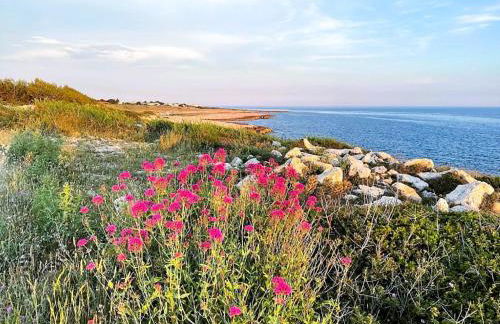 2 Pièces 45m2, Calme, Confort, Mer à 200m, Jardin, Terrasse, Piscine - Foto 40