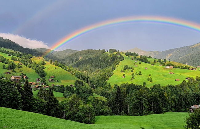 Serviced Apartment Chalet Bärgblüml i Ha - Foto 37