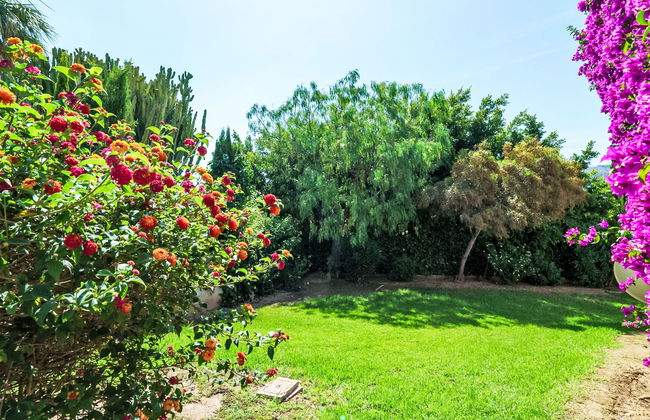 Tesoro Park - Foto 27