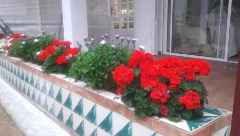 Apartamento lujoso en primera linea de playa - Foto 2