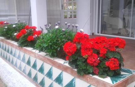 Apartamento lujoso en primera linea de playa - Foto 2