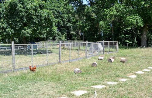 Little Barn - Ukc2539 - Foto 8