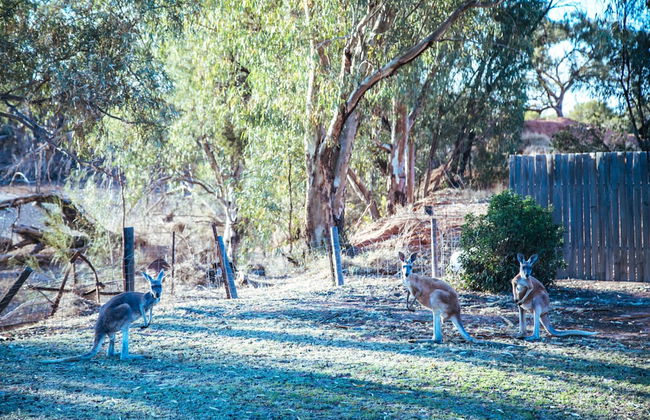 Warrawong on the Darling - Foto 22