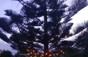 Villa Nela Loredo - Foto 19