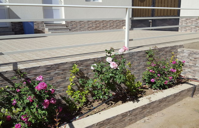 Alestiraha Elegant - Foto 29