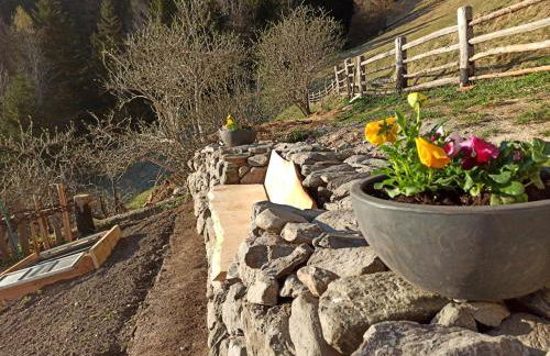 Natur Apartments Riesen - Photo 49