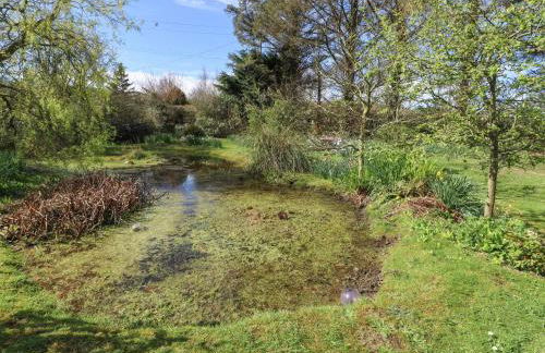 Fron Dderw Caravan - Foto 18