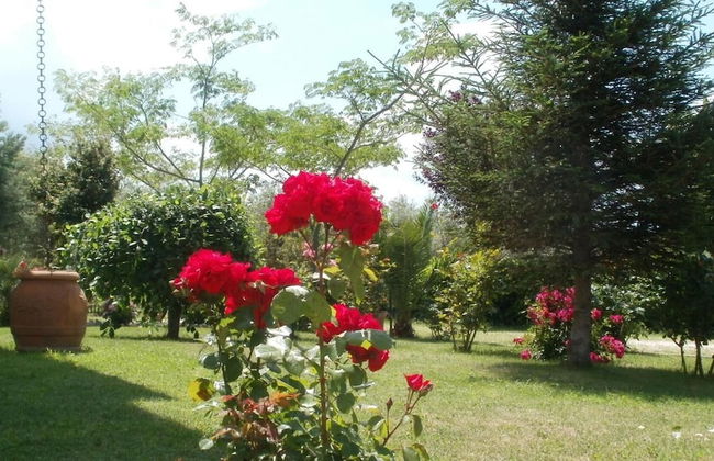 Agriturismo Le Quattro Stagioni - Foto 29