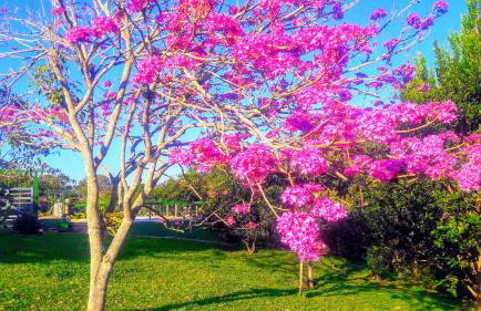 Studios Verdes hospedagens - Photo 66