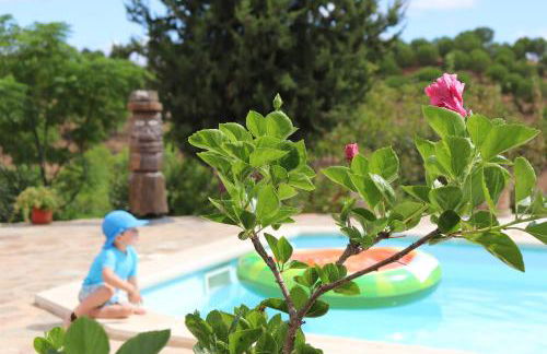 Ninho Da Poupa - Foto 10