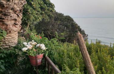 Dionisis Apartments - Photo 9