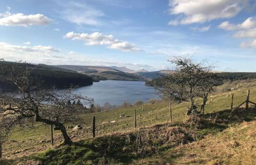 4 Walkers Cottage - Countryside Retreat with BBQ Hut - Photo 21