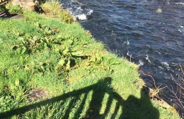 Stunning 3 Bed Riverside Cabin in Snowdonia - Photo 55