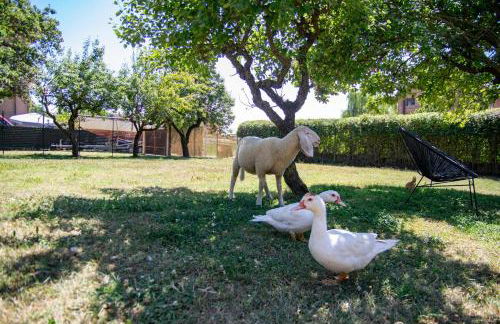 Ospitalità Le Cocò - Foto 12