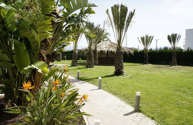 Hotel Playa Oliva - Foto 43