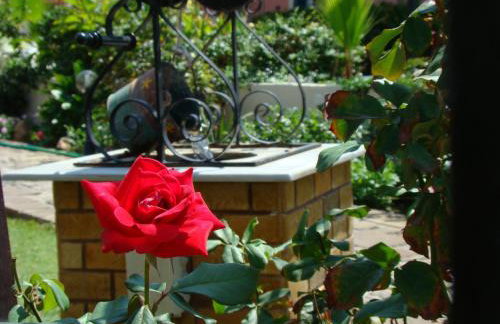 Niki Studios Sea - Front - Photo 40