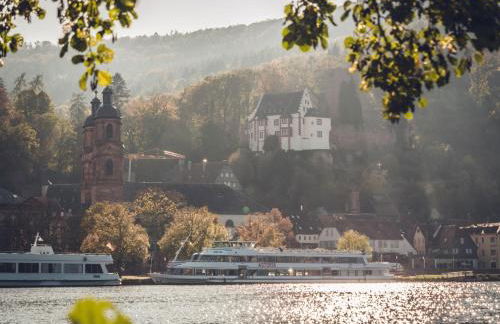 MAINTERRASSE Boardinghouse am Fluss klimatisierte Apartments mit 80qm Terrasse - Foto 47