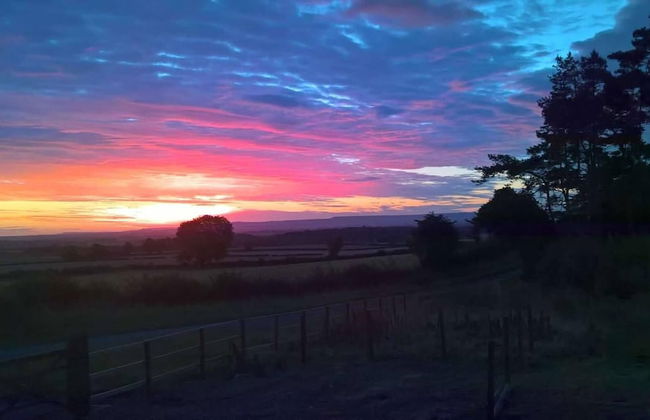 Traditional Scandinavian/north American Log Home - Foto 15