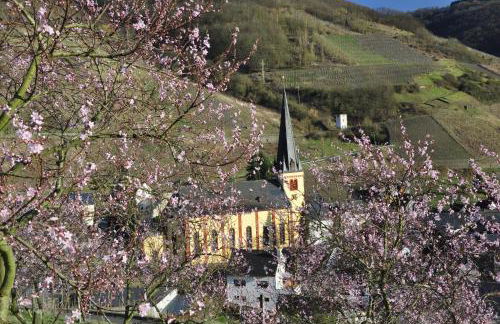 Gästehaus Sehl - Foto 20