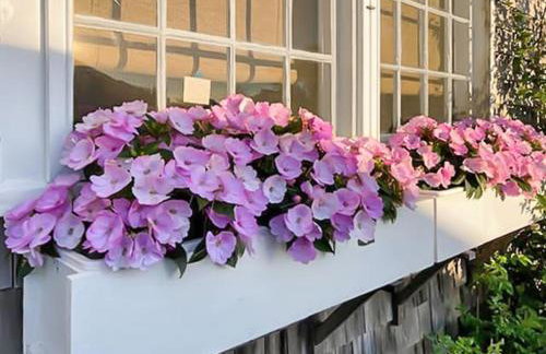 Elegant Nantucket Retreat on Village Way 3BR - Foto 35