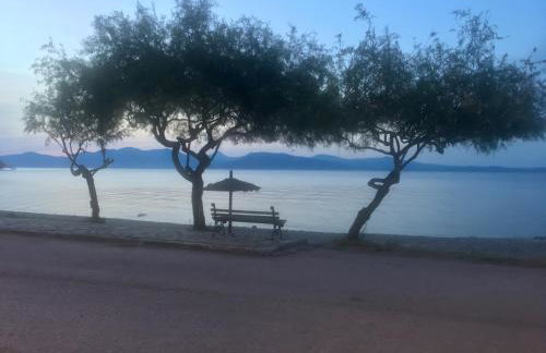 Eratous Seaside House - Foto 33