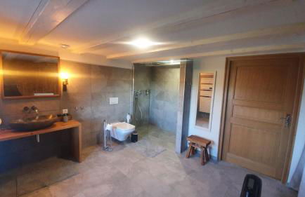 Villa d'exception LA BELLE DES VOSGES 4 étoiles, bain nordique, sauna, billard etc - Foto 27