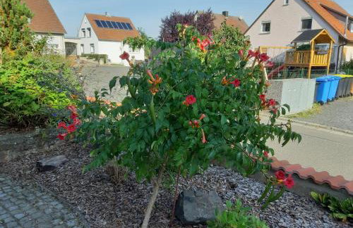 Ferienwohnung Maroldsweisach - Photo 21